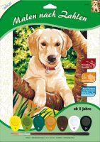 MAMMUT Malen nach Zahlen Motiv Junger Hund 105010