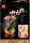 LEGO Icons Mini-Orchidee 10343