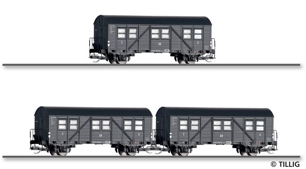 TILLIG Set mit 3 Reisezugwagen Mci-43 der DRG Ep.II 01103 Spur TT
