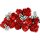 LEGO Icons Rosenstrauß Botanik Kollektion 10328